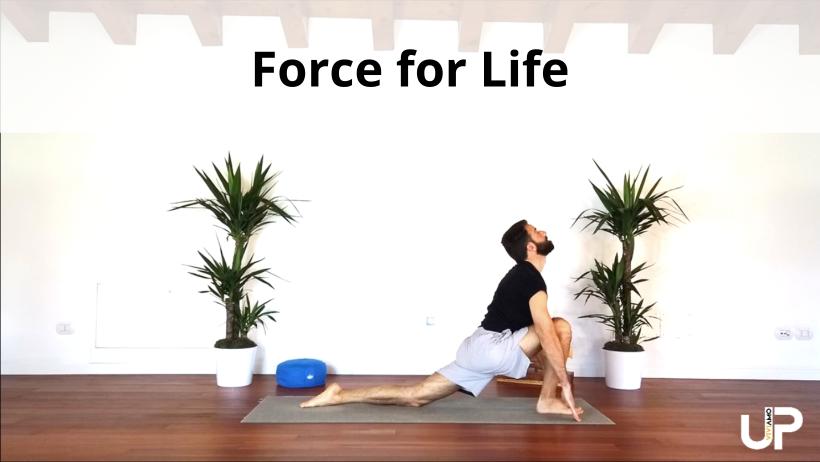 Matteo_bonin_up_viviamo_5